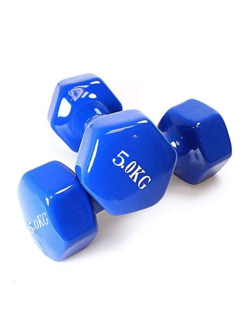 2 Pieces Dumbbells Weights Exercise