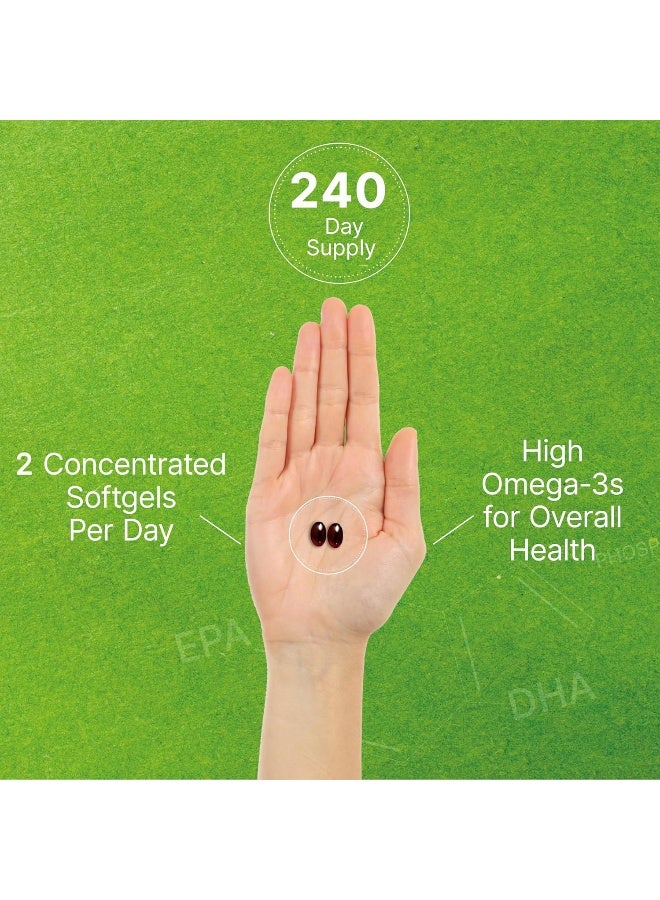 DEAL SUPPLEMENT فيتامينات إيجل شاين 2 عبوة زيت كريل من القارة القطبية الجنوبية، 1,000 ملغ لكل حصة، 480 كبسولة لينة - Image 5