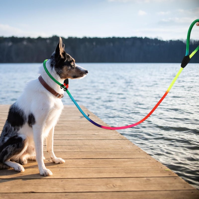 Nylon Dog Leash for Pets and Colorful Outdoor Leash for Walking and Training Accessory for Puppy Owners - Image 5