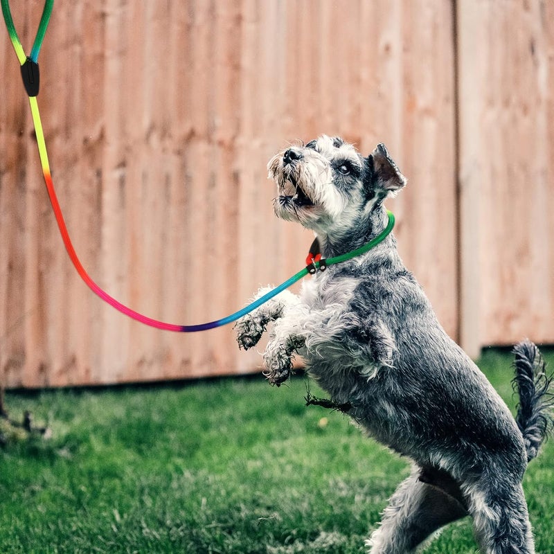 Nylon Dog Leash for Pets and Colorful Outdoor Leash for Walking and Training Accessory for Puppy Owners - Image 3