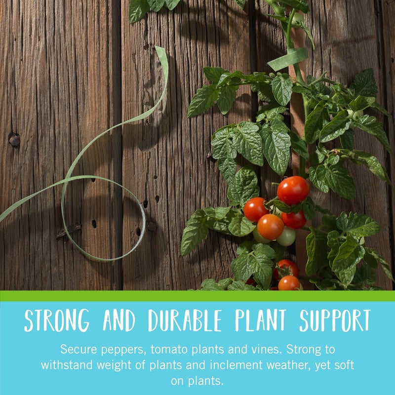 Velcro Brand VEL-30071-USA ONE-WRAP Garden Ties | Plant Supports for Effective Growing | Strong Grips are Reusable and Adjustable | Cut-to-Length, 50 ft x 1/2 in, Green-Recycled Plastic - Image 4