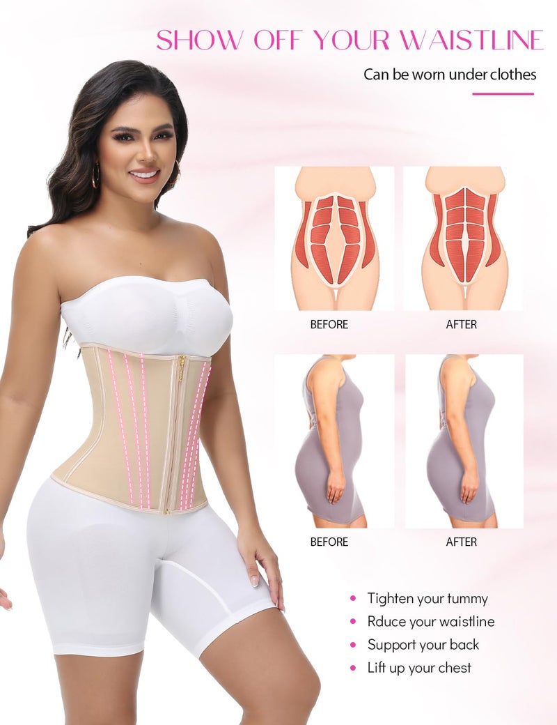 SHAPSHE Waist Trainer for Women Tummy Control Corset Hourglass Body Shaper Waist Cincher Back Support Wrap Belt with Zipper Hook Tan - Image 2