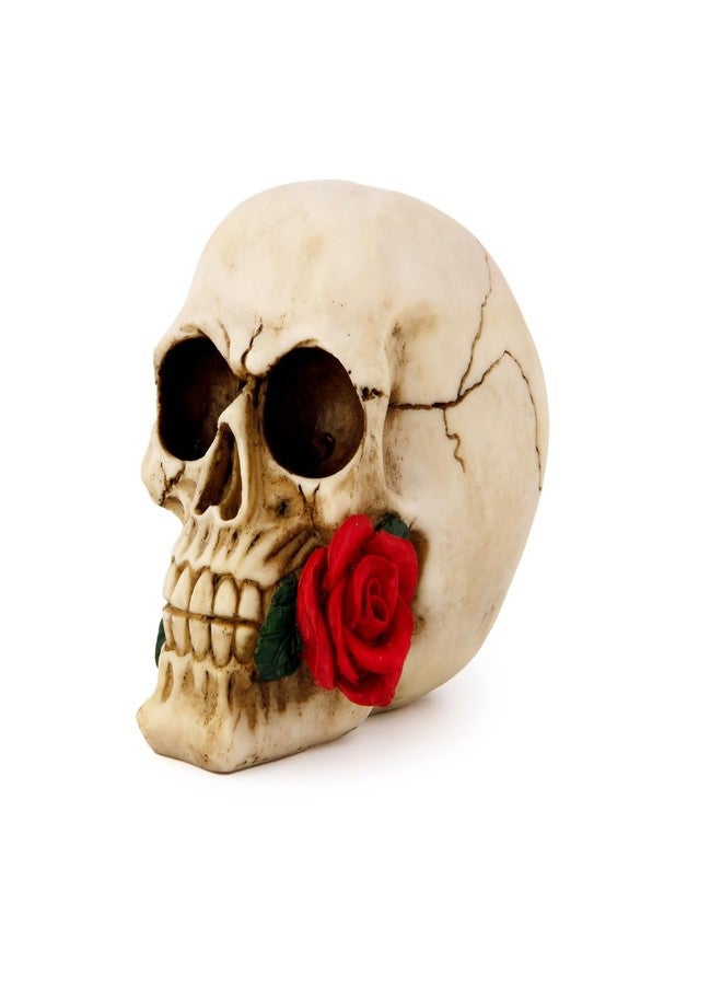 wynameleri Creative Skull Decor Rose Flowers Skeleton Head Sculpture 8.1'' Human Statue Collectible Halloween Decoration Home Decoration SKL20 - Image 1