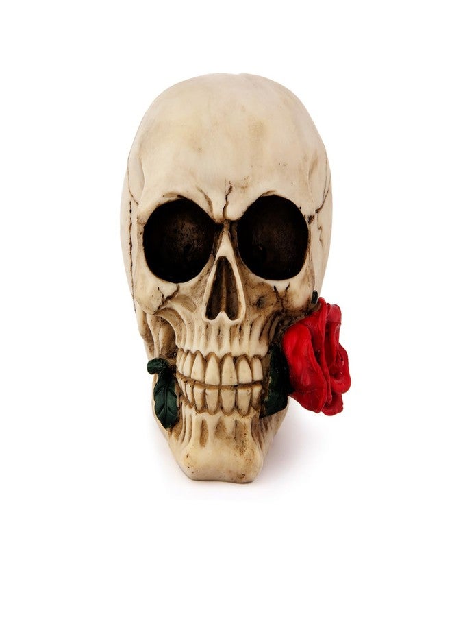 wynameleri Creative Skull Decor Rose Flowers Skeleton Head Sculpture 8.1'' Human Statue Collectible Halloween Decoration Home Decoration SKL20 - Image 2