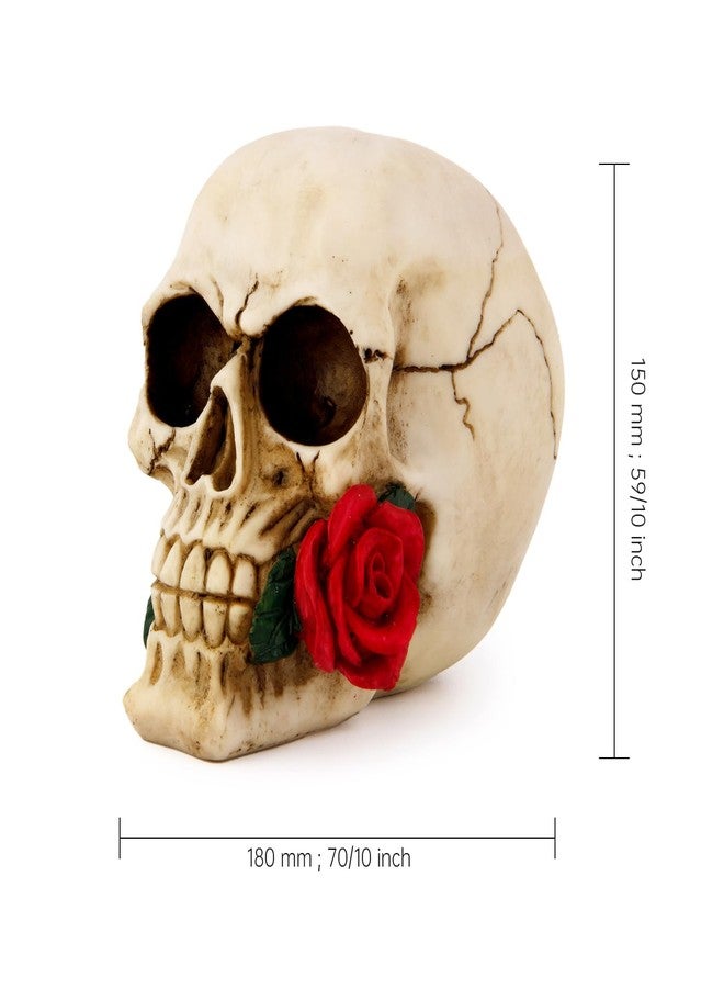 wynameleri Creative Skull Decor Rose Flowers Skeleton Head Sculpture 8.1'' Human Statue Collectible Halloween Decoration Home Decoration SKL20 - Image 4
