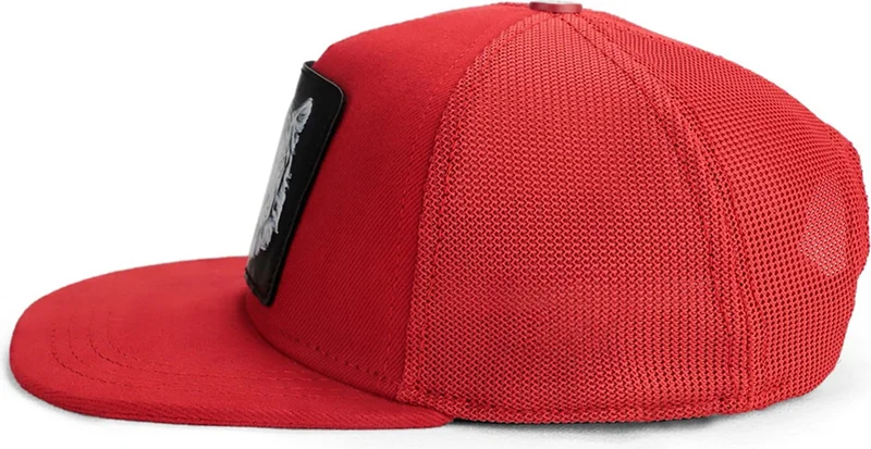 Black Börk BlackBörk V1 Kids Hip Hop Colorful Lion - Unisex Trucker Red Hip Hop Hat (Cap) with 15 Code Logo