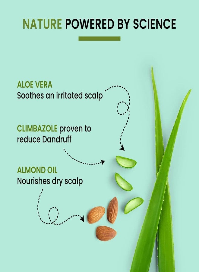 Alps Goodness Aloe Vera, Almond Oil & Climbazole Anti-Dandruff Shampoo for Dry Scalp (290 ml) I Shampoo for Dry Scalp & Hair | Anti-Dandruff Shampoo | Gentle & Mild Cleansing Shampoo | Sulphate Free, Silicone Free, Paraben Free - Image 4