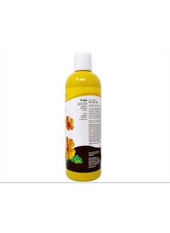 Alba Botanica Hawaiian Shampoo, Coconut Milk 12 oz (Pack of 5)  - Image 4