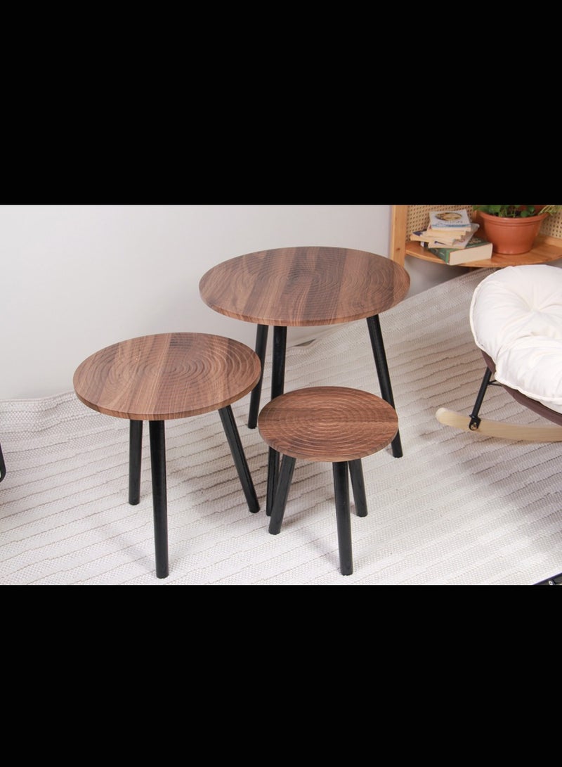 Generic Side coffee table set  - Image 4