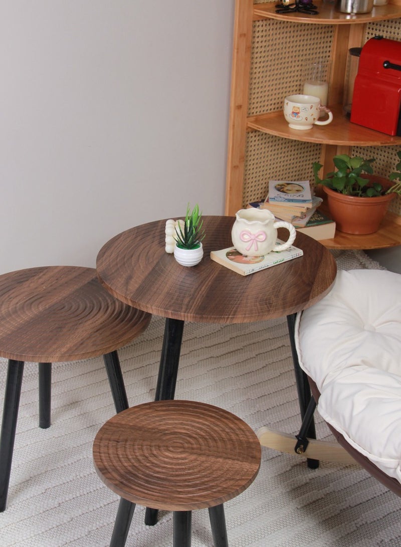 Generic Side coffee table set  - Image 5
