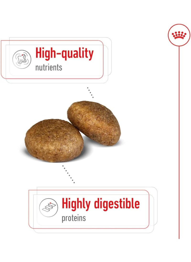 رويال كانين طعام رويال كانين الجاف للكلاب البالغة من سلالة ماكسي (15 شهرًا فأكثر ووزن 26-44 كجم)، 10 كجم - Image 3
