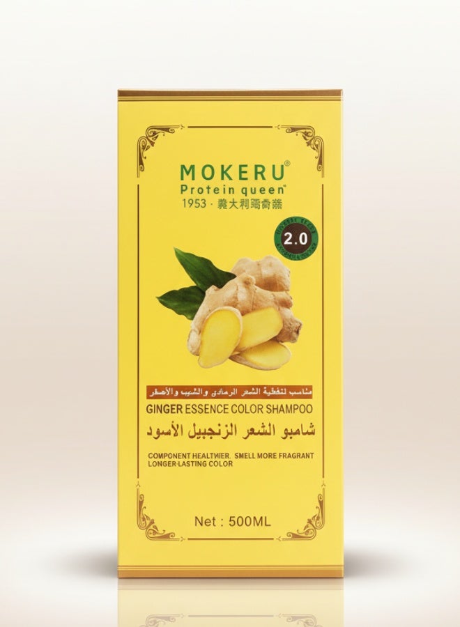 Protein Queen Ginger Essence Colour Shampoo 500 ml Hair Repair Nourishing Strengthening Shine for All Hair Types