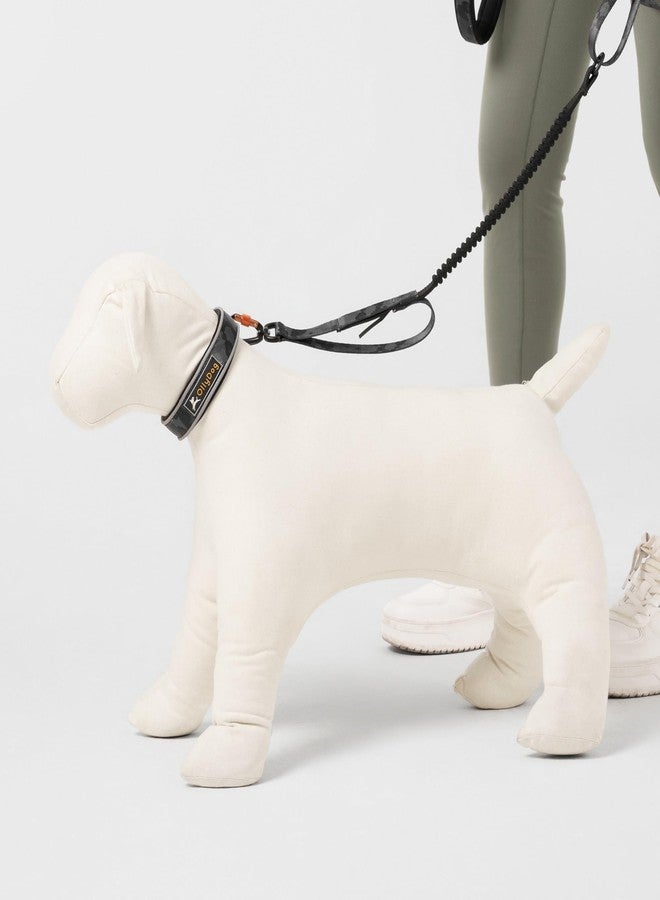 OllyDog طوق OllyDog Martingale العاكس المريح، طوق انزلاق عاكس للجري الليلي، مبطن بالنيوبرين الناعم، راحة إضافية للكلاب النشطة (متوسط، مموه الأحلام) - Image 5