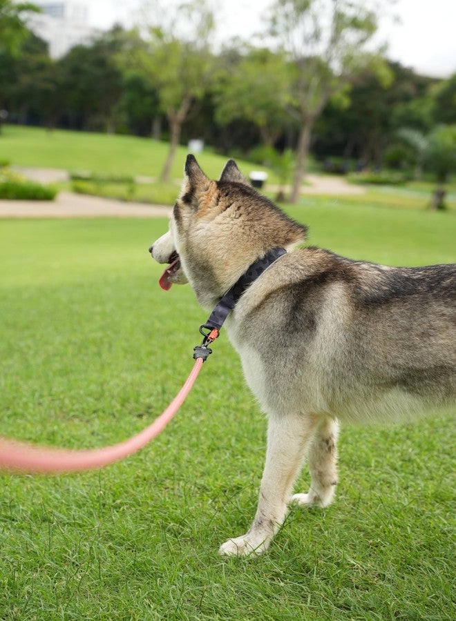 OllyDog طوق OllyDog Martingale العاكس المريح، طوق انزلاق عاكس للجري الليلي، مبطن بالنيوبرين الناعم، راحة إضافية للكلاب النشطة (متوسط، مموه الأحلام) - Image 2