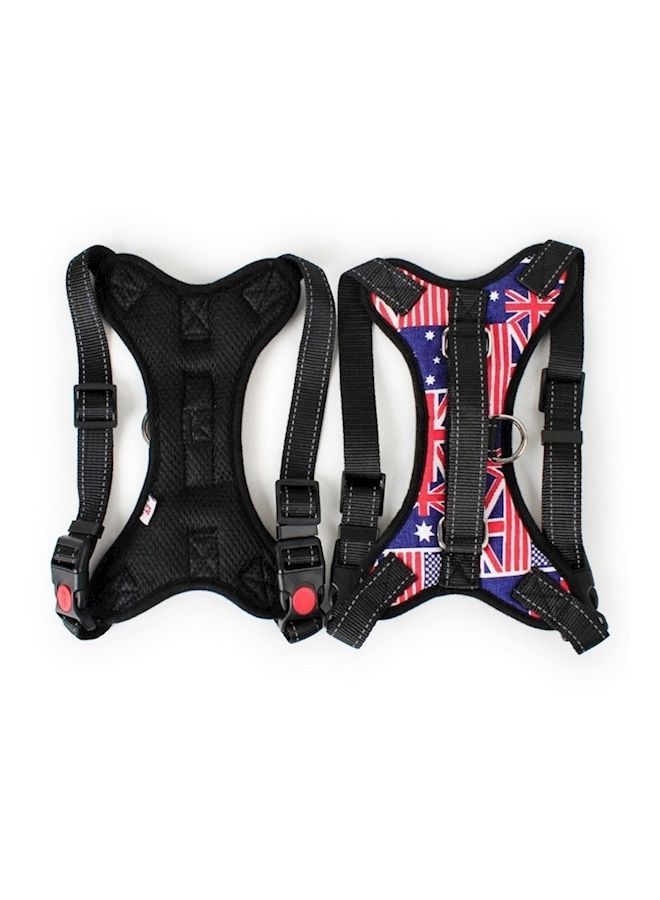 NIBEMINENT Pet Chest Harness Multicolour - Image 5