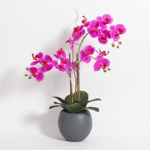 CG Hunter Faux Pink Orchid Plant Premium Artificial Indoor Flower Display Stands 25Inches with Beautiful Sculptural Blooms and Foliage that Lasts Forever Grey Planter Pot Included - Image 1