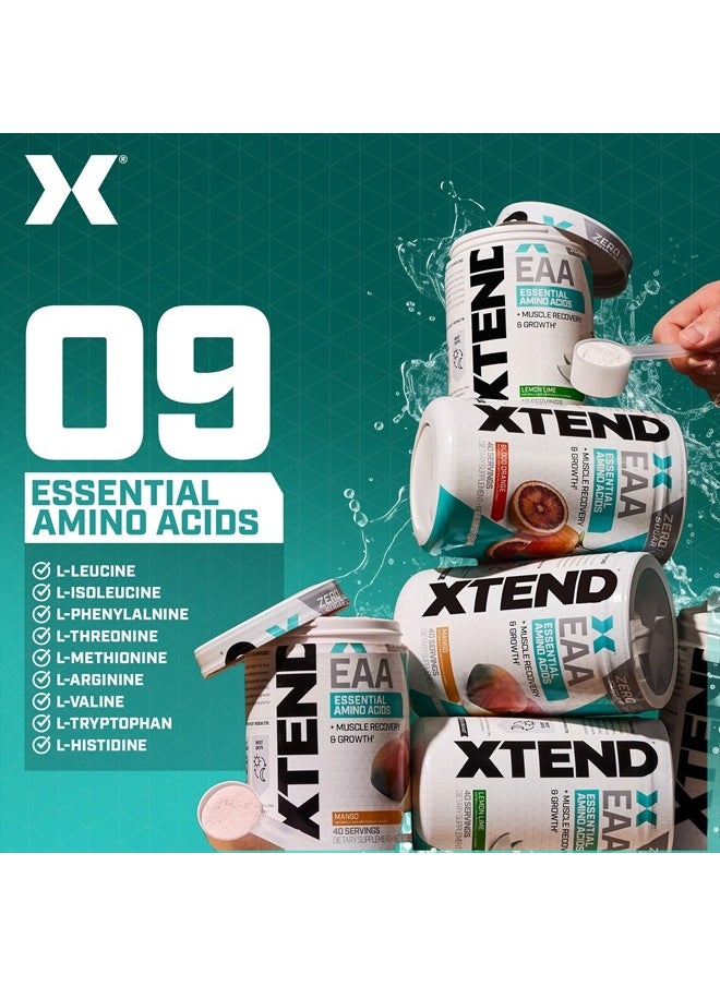 SCIVATION XTEND EAA + BCAA Powder | Muscle Recovery & Lean Muscle Growth | 9 Essential Amino Acids for Intra Workout or Post Workout Recovery | 10g EAAs Per 2 Servings | Mango 40 Servings  - Image 3