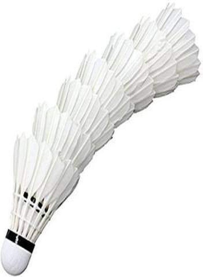PlantaZee Mohit Sports Rangila Coloured Feather Shuttle Cock - Image 1