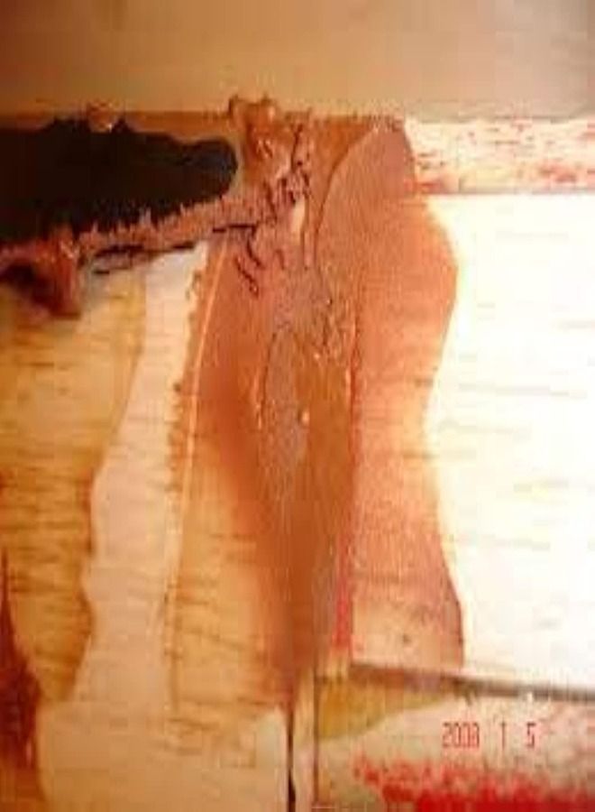 Bossil Carpenter Wood filler 500grm - Image 3