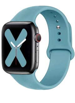 Ten Tech Silicone Sport Band for Apple Watch 41mm 40mm 38mm, Waterproof Soft Silicone Sports Band for iWatch SE 8/7/6/5/4/3/2/1, - Cactus