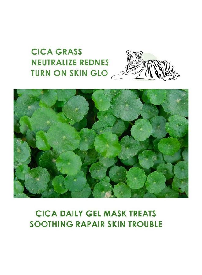 Wellderma Premium Cica Treatment Repair Fitting Gel Mask Pack 4 Sheets - Image 4