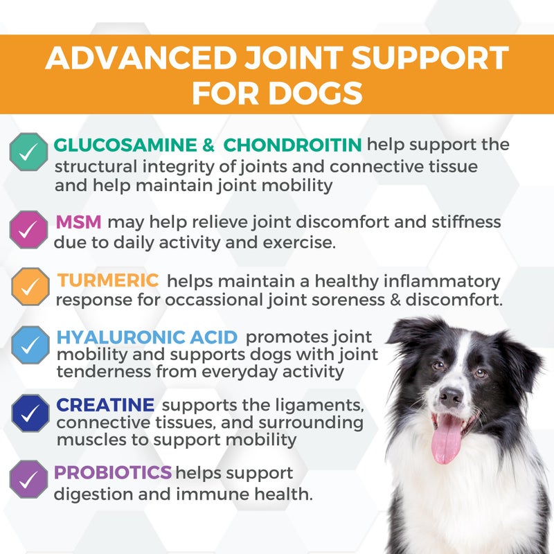 Nootie Progility Hip & Joint Supplement for Dogs, Dog Joint Support with Glucosamine and Chondroitin, 90 Count - Image 2