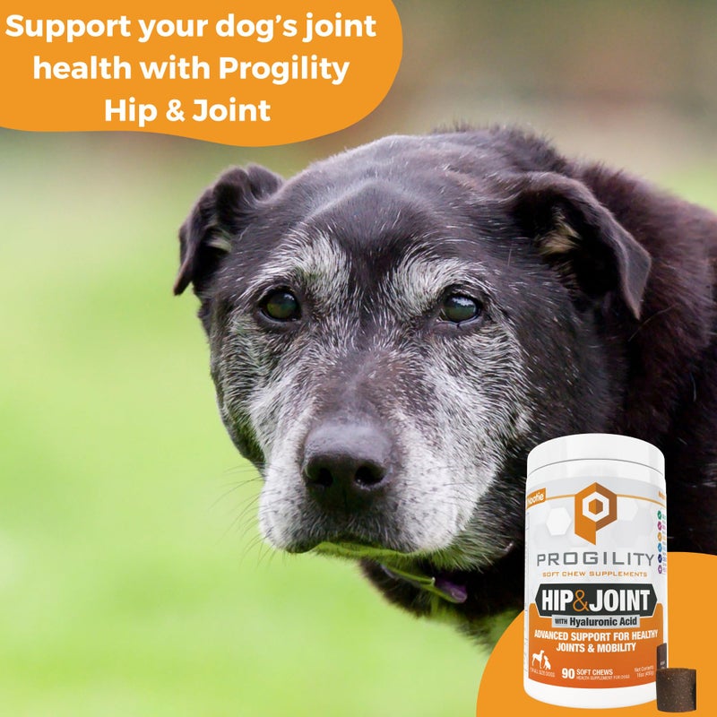 Nootie Progility Hip & Joint Supplement for Dogs, Dog Joint Support with Glucosamine and Chondroitin, 90 Count - Image 3