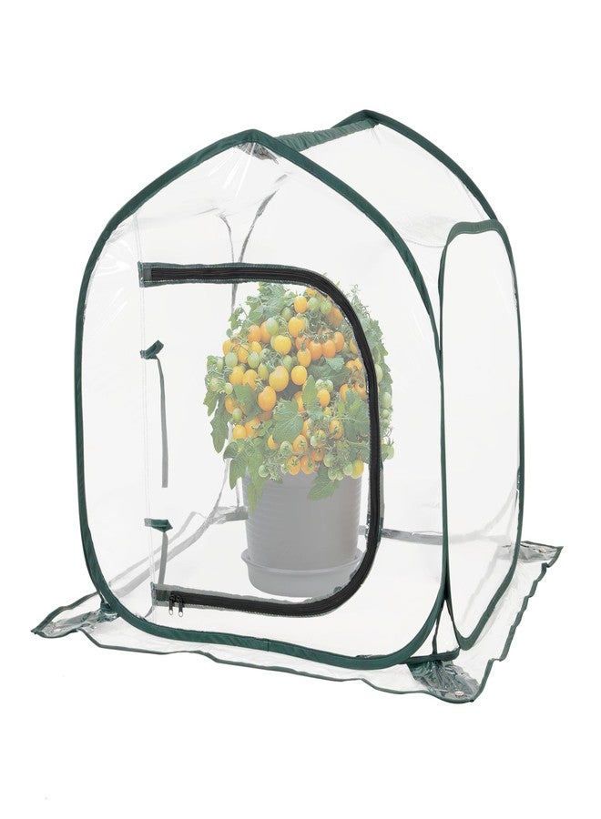 Toboom Mini Transparent Pop Up Greenhouse for Indoor and Outdoor Backyard Gardens - Portable Large Space and Durable - Image 1