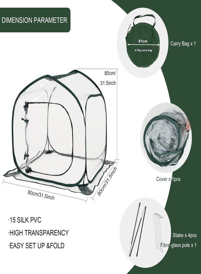 Toboom Mini Transparent Pop Up Greenhouse for Indoor and Outdoor Backyard Gardens - Portable Large Space and Durable - Image 2