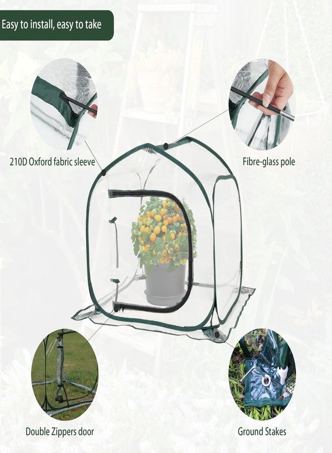 Toboom Mini Transparent Pop Up Greenhouse for Indoor and Outdoor Backyard Gardens - Portable Large Space and Durable - Image 3