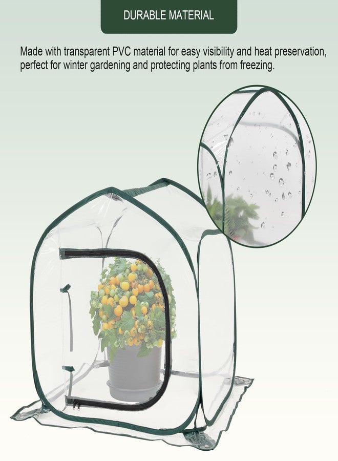 Toboom Mini Transparent Pop Up Greenhouse for Indoor and Outdoor Backyard Gardens - Portable Large Space and Durable - Image 5