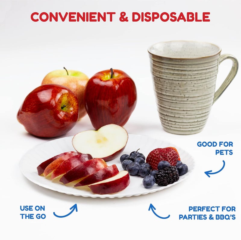 Hygloss 9-Inch Paper Plates - 100 Count, Disposable and Food Safe - Image 2