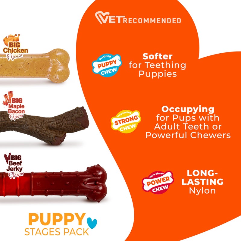 Nylabone Puppy Stages Chew Toy Set, Teething and Chewing Toys for Growing Puppies, Chicken, Maple Bacon, & Beef Jerky Flavors, Medium Dogs - Up to 35 lbs., 3 Pack - Image 3