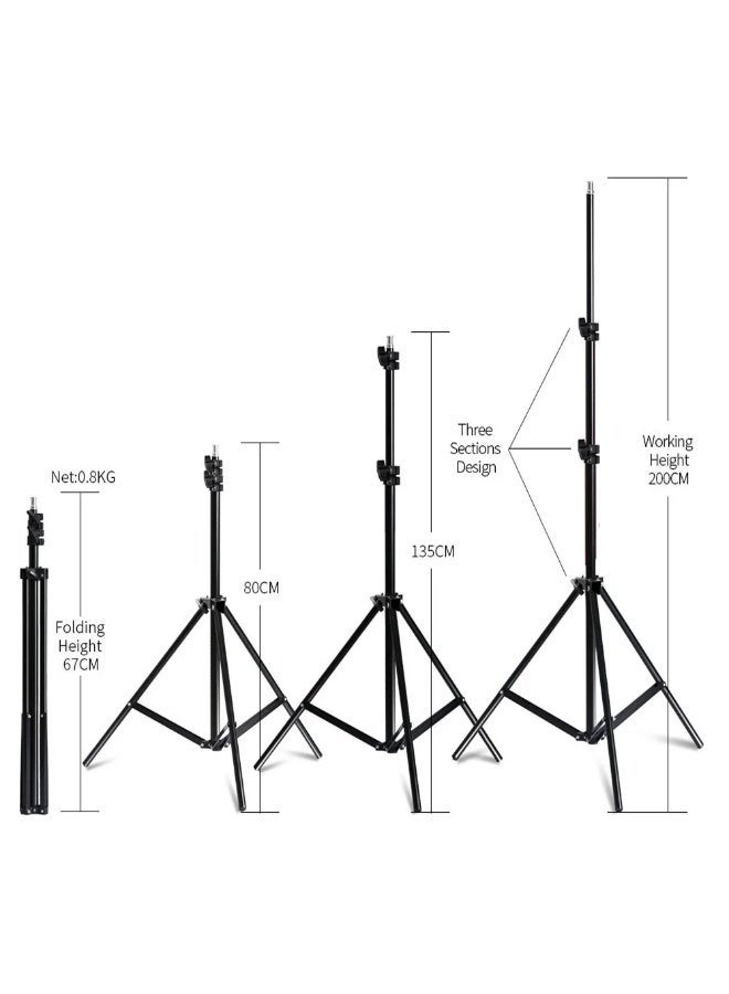 عام General soft box with 4 lamp holder TL-4 With Stand - Image 2