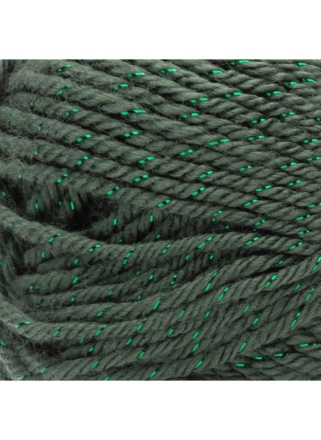 CARON Yarn Simply Soft Par Dk Dark Sage Sparkle  - Image 3