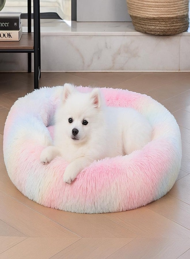 Click2Store Round Donut Pet Bed for Cats, Puppies, and Dogs, Cozy and Plush, Raised Bedside Support, Both Sides Use Like 2-in-1, Washable, Sizes for Small and Medium Pets cat Bed Rainbow (20 Inch) - Image 1