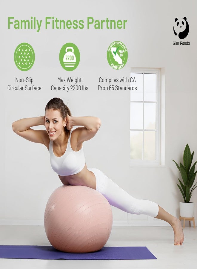 Slim Panda Anti-Burst Exercise Ball - Heavy Duty Stability Ball for Yoga & Fitness - Non-Slip Yoga Ball for Core Training & Posture - Includes Pump - Image 2