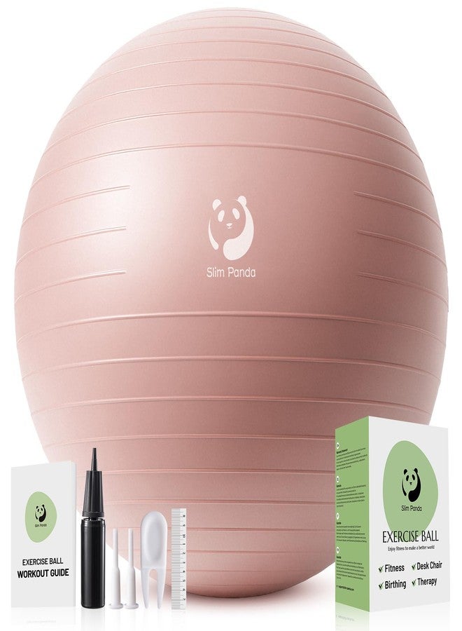 Slim Panda Anti-Burst Exercise Ball - Heavy Duty Stability Ball for Yoga & Fitness - Non-Slip Yoga Ball for Core Training & Posture - Includes Pump - Image 1