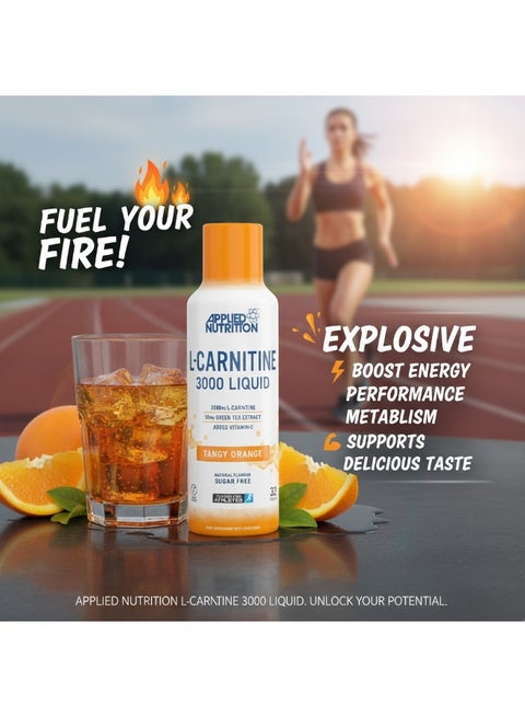 l-carnitine tangy taste Applied Nutrition Liquid 3000 Orange free formula designed to support natural energy production and weight loss L Carnitine Supplements For Tropical