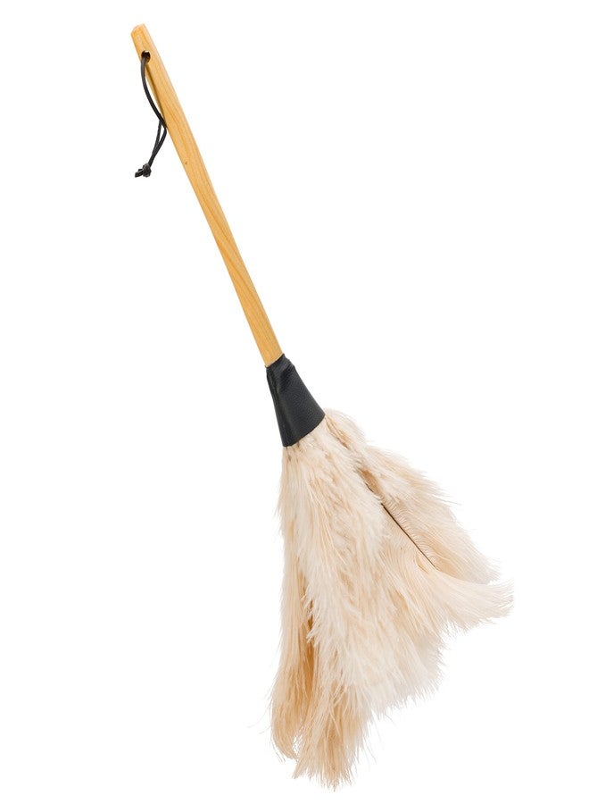 Redecker Ostrich Feather Duster with Varnished Wooden Handle, 19-2/3-Inches, White - Image 1