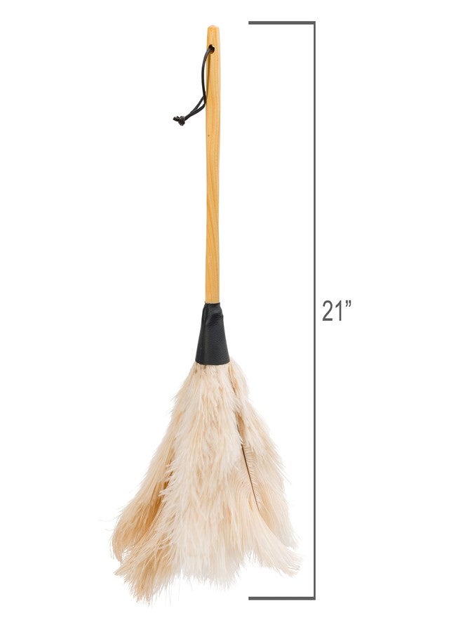 Redecker Ostrich Feather Duster with Varnished Wooden Handle, 19-2/3-Inches, White - Image 3