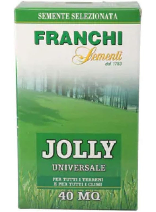 Franchi بذور العشب فرانشي سمنت جولي بذور عالمية مصنوعة في إيطاليا - Image 2