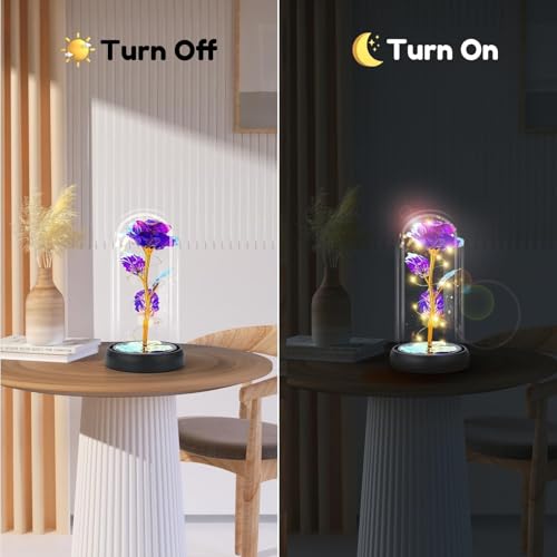 Otlonpe Mothers Day Flowers Gifts for Mom from Daughter Son, Preserved Forever Glass Light Up Rose Gifts for Grandma Wife Women Girlfriend Sister, Teacher Appreciation Graduation Gift for Her (Purple) - Image 3