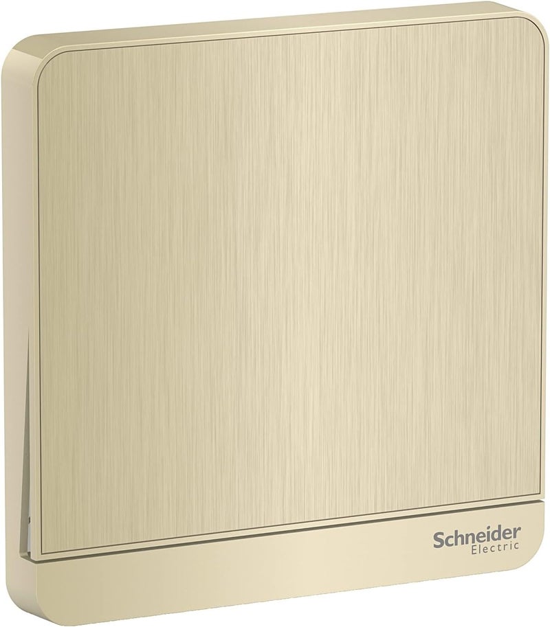 Schneider Electric AvatarOn Gold Switch - 1 Gang 1 Way