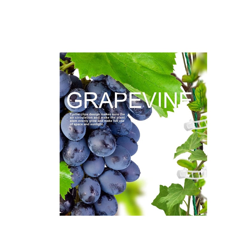 Barakah 200 قطعة مشابك دعم النباتات لحديقة الطماطم مشابك تعريشة الطماطم مشابك كروم الطماطم تساعد الكروم على النمو بشكل عمودي وتجعل النباتات أكثر صحة - Image 3