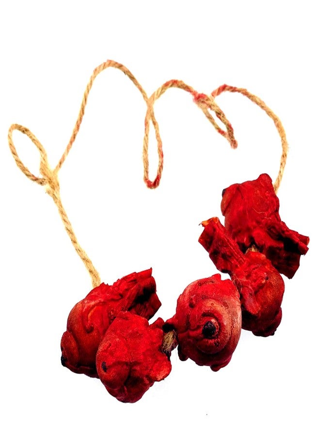Dzrige Bloody Severed Eyes Ripped Out Eyeball Scary Fake Eyeball Halloween Broken Body Parts Party Hanging Ornament Horror Prank Props Haunted House Decoration Supplies, 5 Eyes - Image 1