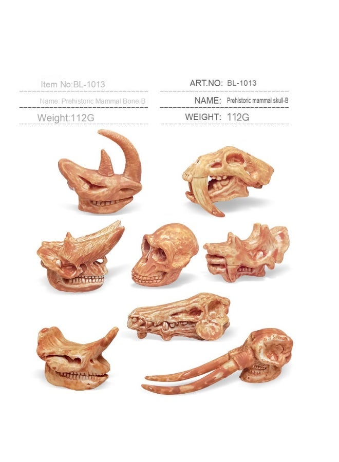 NIBEMINENT Children's Early Education Cognitive Fossil Toy - Wild Prehistoric Mammal Dinosaur Skull Model