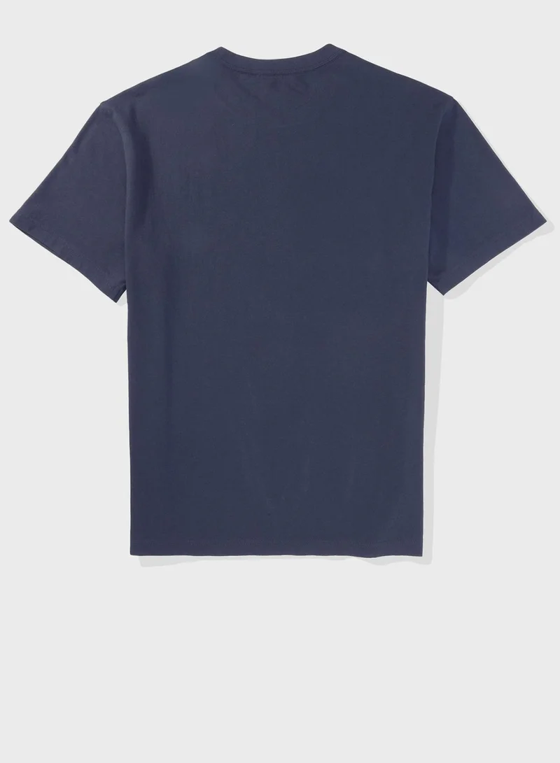 American Eagle Graphic Crew Neck T-Shirt