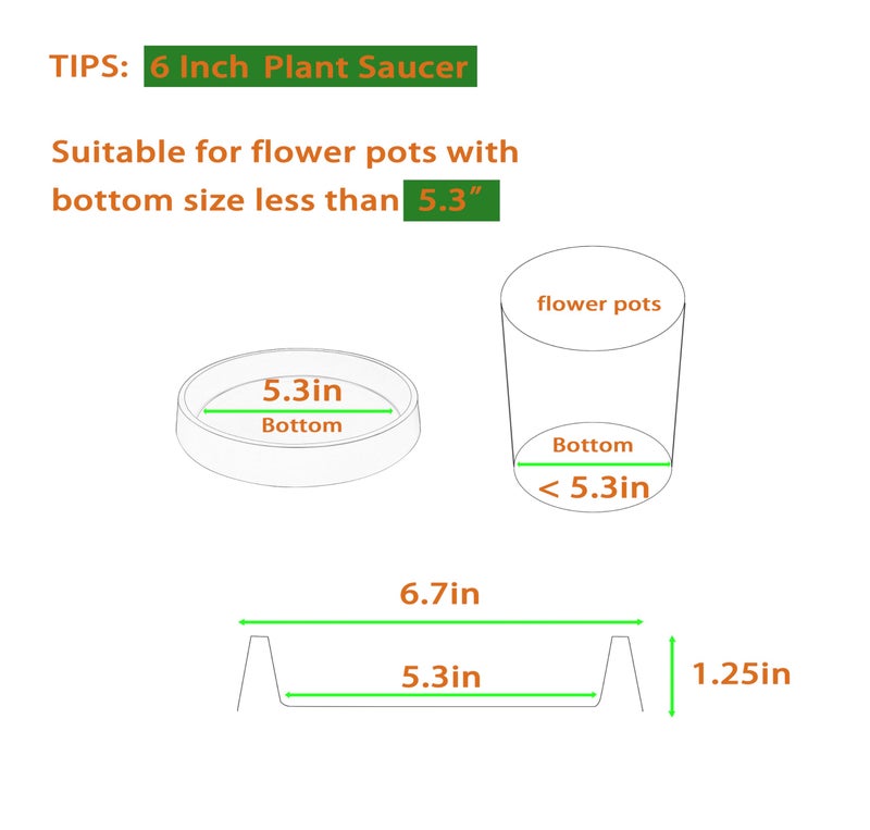 Bleuhome 1 Pack Plant Saucer Tray for Ceramic Plastic Pots, 6 inch Plant Saucers for Indoors, Pot Saucers Trays, Flower Planter Water Drip Trays for Pots Base (6", Black) - Image 2