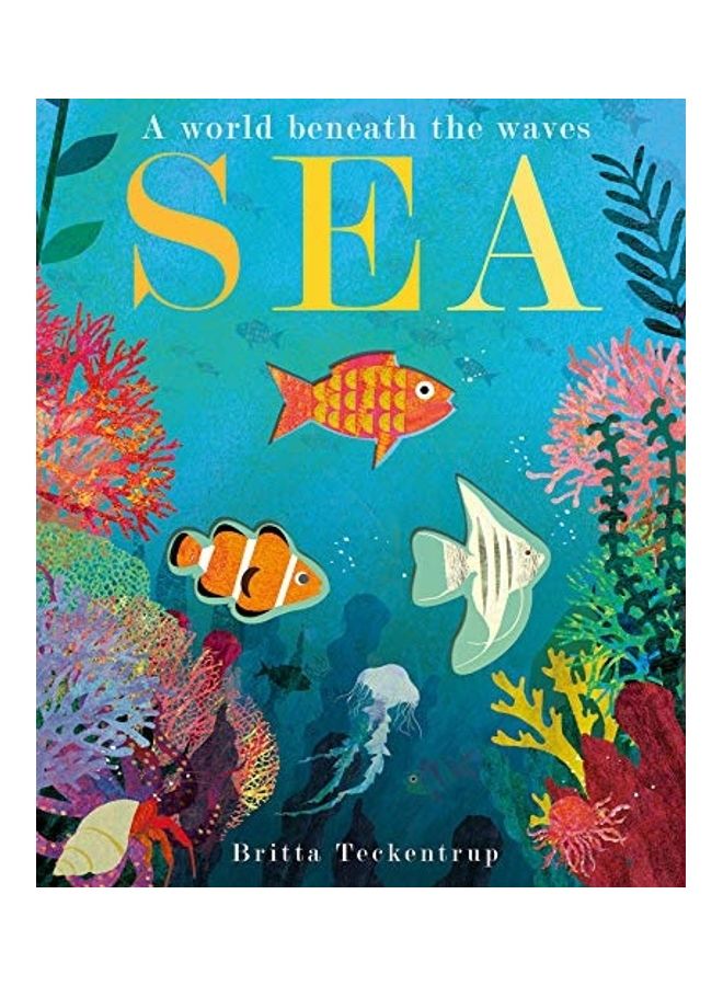 Sea: A World Beneath the Waves
